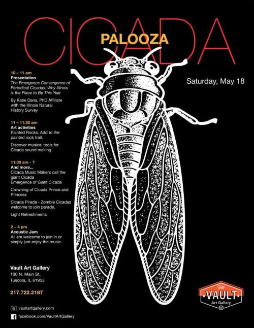 Cicada palooza flyer