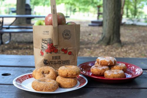 donuts from Curtis Orchard & Pumpkin Patch