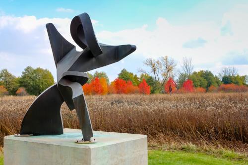 sculpture located in a forest preserve in Champaign-Urbana